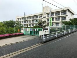 明石市立　高丘東小学校の画像