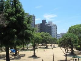 上ケ池公園の画像