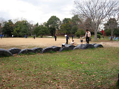 桜が丘公園の画像