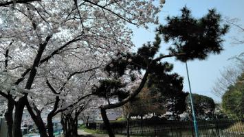 王塚公園の画像