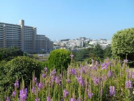 東細谷公園の画像